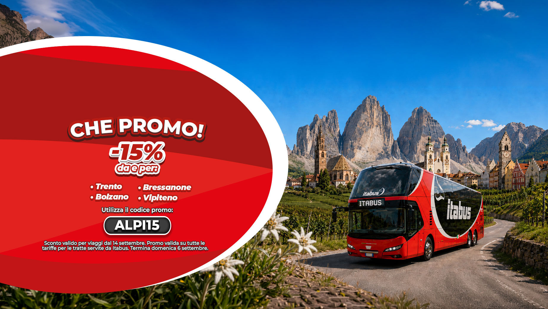 Promo ALPI15