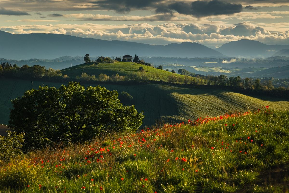 Cosa Vedere ad Ancona in un weekend