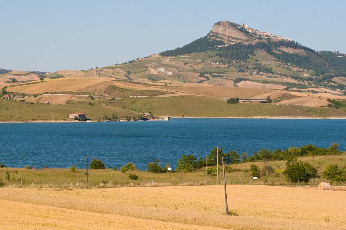 Oasi Lago di Conza Area Protetta